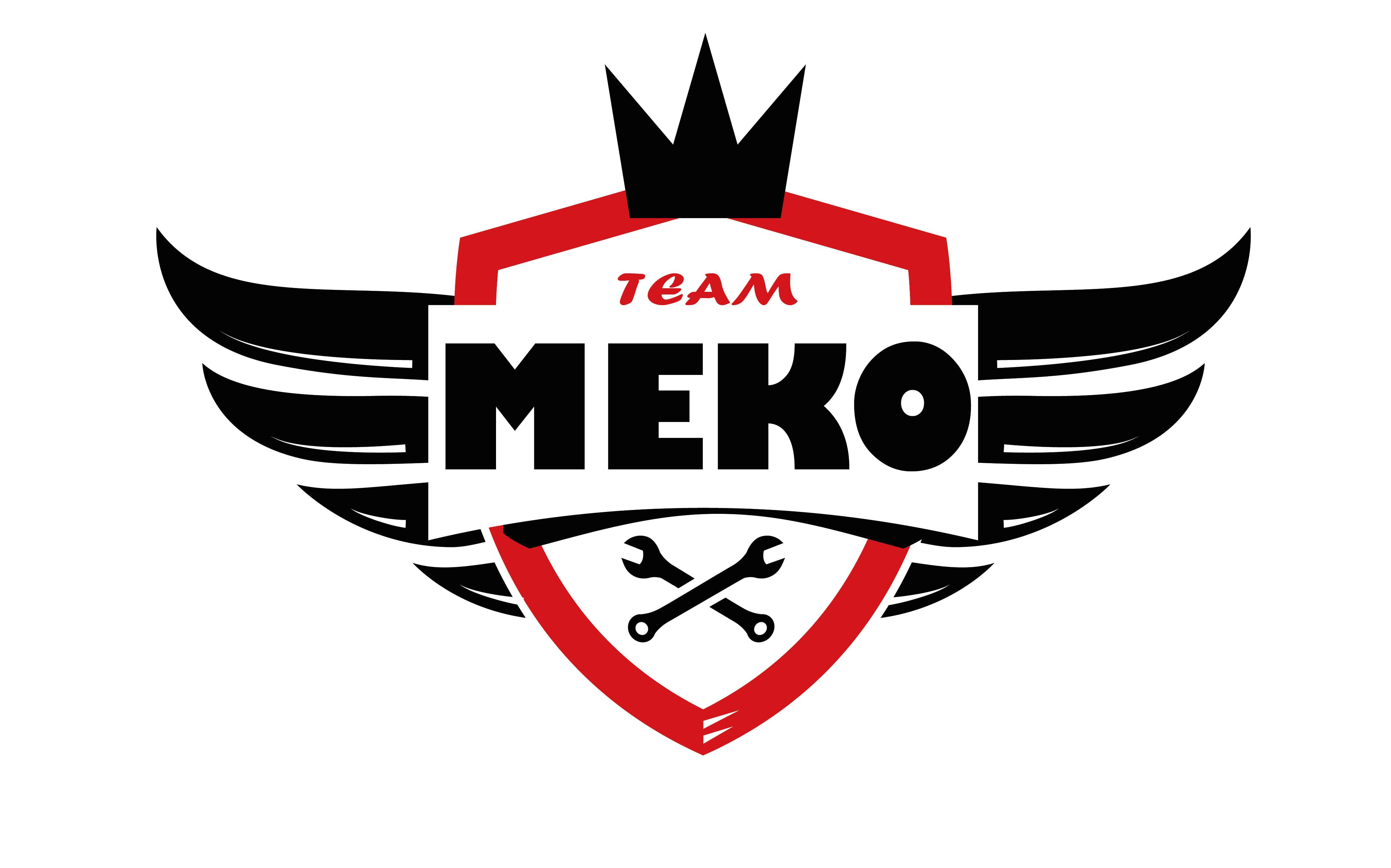 Mekoteam logo
