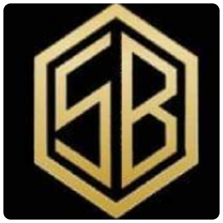 Salabacke & Vilan Bilservice  logo